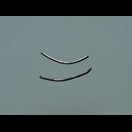 Gleich an zwei Stellen hatten diese Karkassendrähte Löcher im Hinterrad von Dagmars Fahrrad verursacht